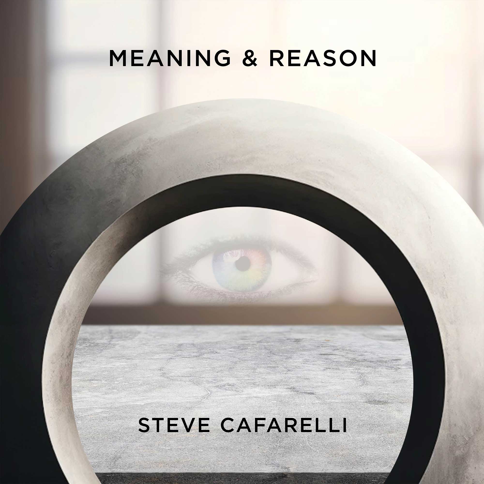 Meaning & Reason cover